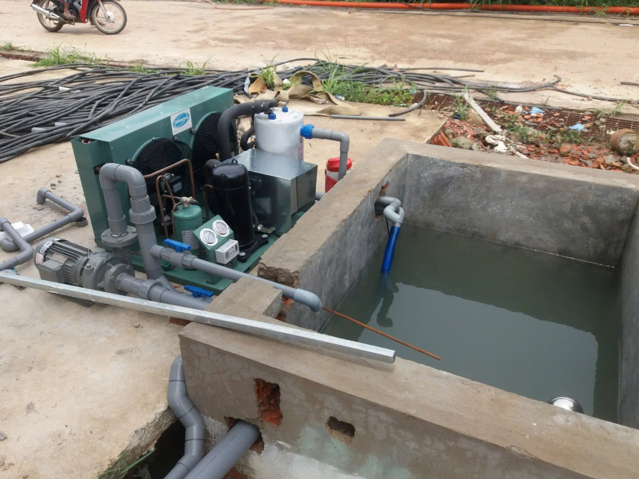 Chiller hồ cá